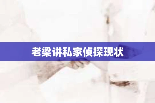 老梁讲私家侦探现状