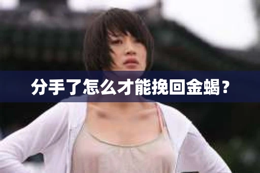 分手了怎么才能挽回金蝎？