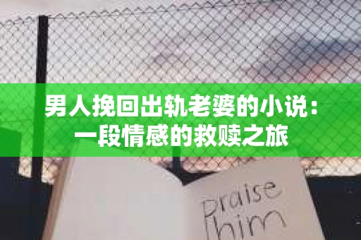 男人挽回出轨老婆的小说：一段情感的救赎之旅