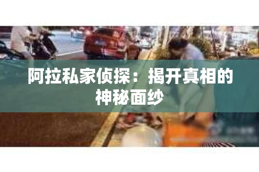 阿拉私家侦探：揭开真相的神秘面纱