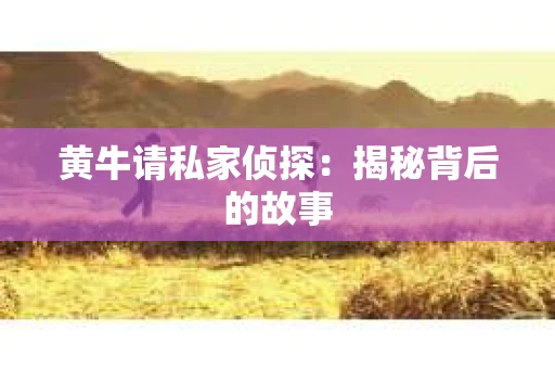 黄牛请私家侦探：揭秘背后的故事