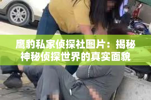鹰豹私家侦探社图片：揭秘神秘侦探世界的真实面貌