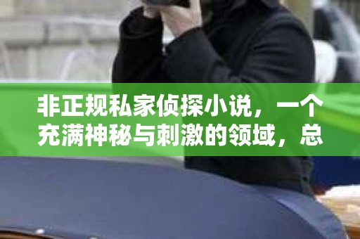 非正规私家侦探小说，一个充满神秘与刺激的领域，总是能勾起人们的好奇心。在这个信息爆炸的时代，网络为我们提供了丰富的阅读资源。今天，就让我带你走进这个神秘的世界，一起探索那些非正规私家侦探小说的魅力。