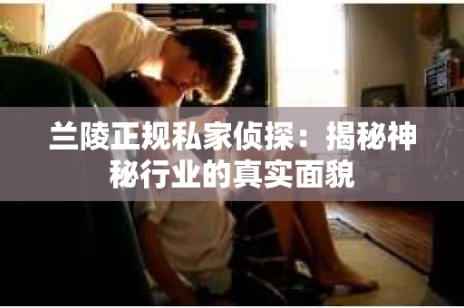 兰陵正规私家侦探：揭秘神秘行业的真实面貌