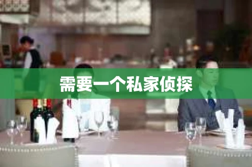 需要一个私家侦探