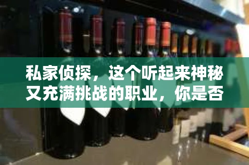 私家侦探，这个听起来神秘又充满挑战的职业，你是否也曾有过一探究竟的冲动？那么，如何开始成为一名私家侦探呢？今天，就让我带你一步步走进这个领域。