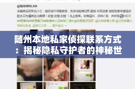 随州本地私家侦探联系方式：揭秘隐私守护者的神秘世界