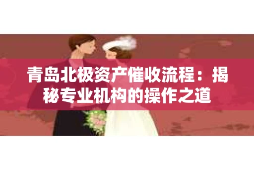 青岛北极资产催收流程：揭秘专业机构的操作之道