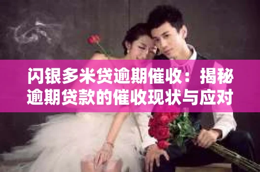 闪银多米贷逾期催收：揭秘逾期贷款的催收现状与应对策略