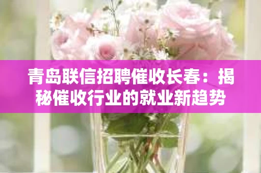青岛联信招聘催收长春：揭秘催收行业的就业新趋势