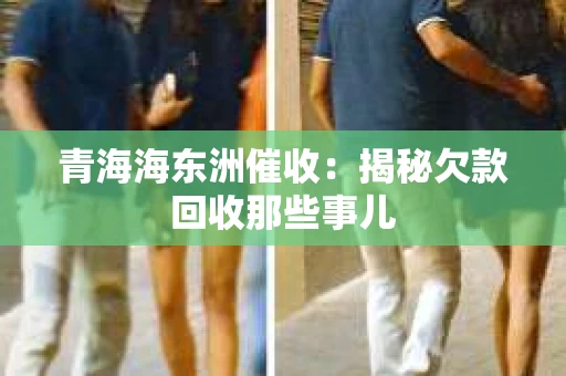 青海海东洲催收：揭秘欠款回收那些事儿