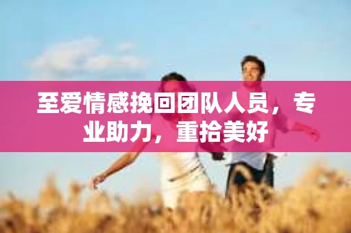 至爱情感挽回团队人员，专业助力，重拾美好