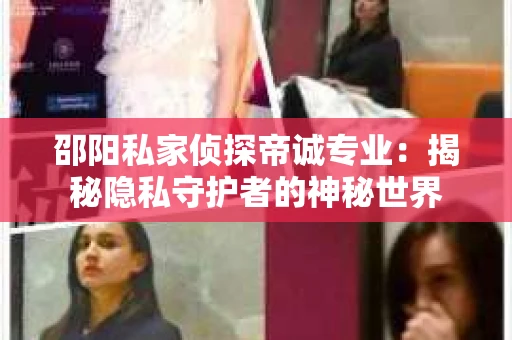 邵阳私家侦探帝诚专业：揭秘隐私守护者的神秘世界