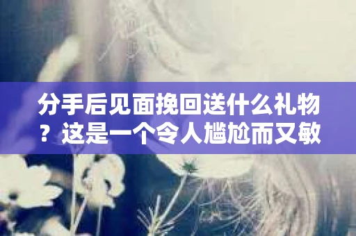 分手后见面挽回送什么礼物？这是一个令人尴尬而又敏感的话题。在经历了分手的痛苦之后，想要挽回曾经的感情，一份合适的礼物可以成为传递心意的重要媒介。本文将为你揭秘分手后见面挽回时，送什么礼物最合适