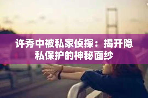 许秀中被私家侦探：揭开隐私保护的神秘面纱
