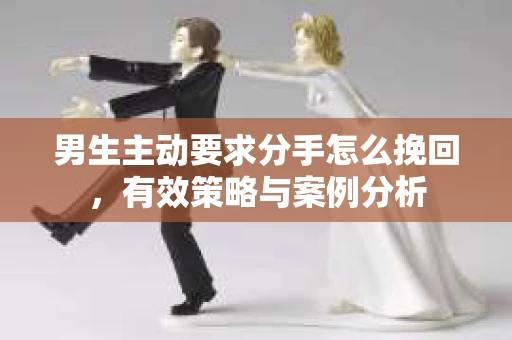 男生主动要求分手怎么挽回，有效策略与案例分析
