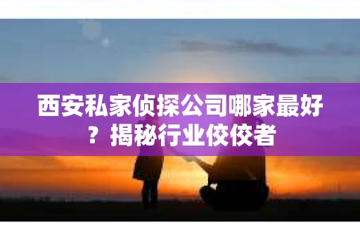 西安私家侦探公司哪家最好？揭秘行业佼佼者