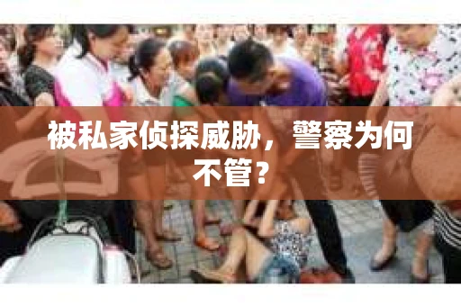 被私家侦探威胁，警察为何不管？