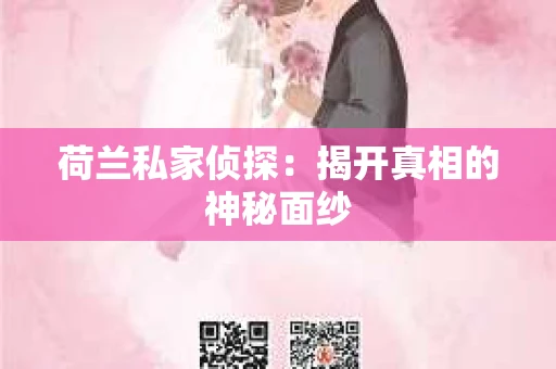 荷兰私家侦探：揭开真相的神秘面纱