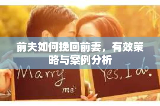 前夫如何挽回前妻，有效策略与案例分析