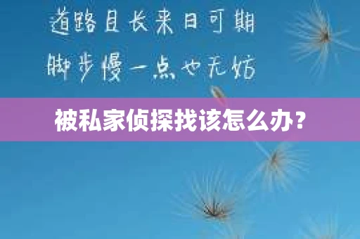 被私家侦探找该怎么办？