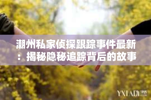 潮州私家侦探跟踪事件最新：揭秘隐秘追踪背后的故事