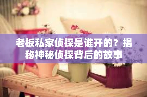 老板私家侦探是谁开的？揭秘神秘侦探背后的故事